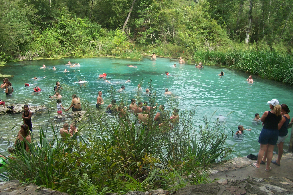 Fountains of Life: A Look at Florida Springs from Sacred Waters to Green  Slime