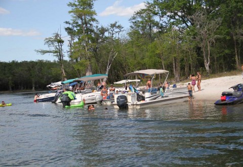 People basking in the sun at the mouth of the Santa Fe River, where it branches from the Suwanee. They were sunbathing and swimming in clear water.