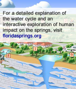 Fountains Of Life A Look At Florida Springs From Sacred Waters To 