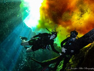 Despite their decline, many springs are still remarkable. At Ginnie Springs, divers marvel at the swirling 'fire water' above Devil's Ear. Tannic water from the Santa Fe swirls with clear spring water to create this otherworldly effect.